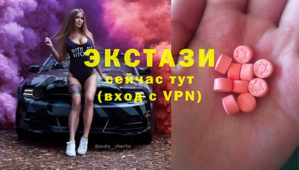 ECSTASY Елизово